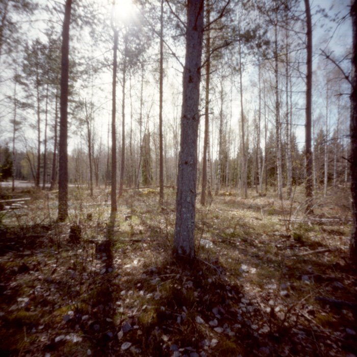 pinhole photograph