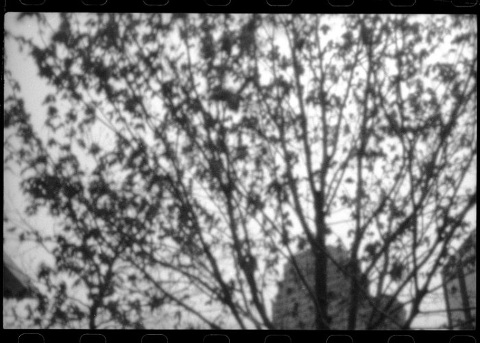 pinhole photograph