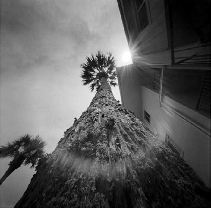 pinhole photograph