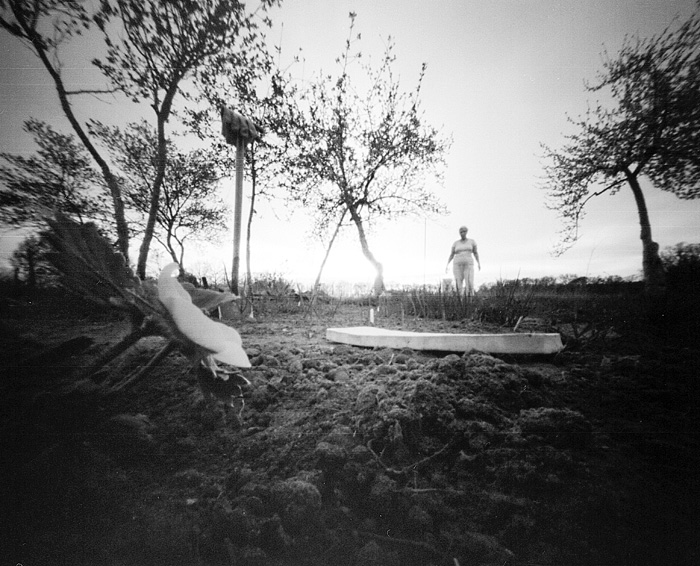 pinhole photograph