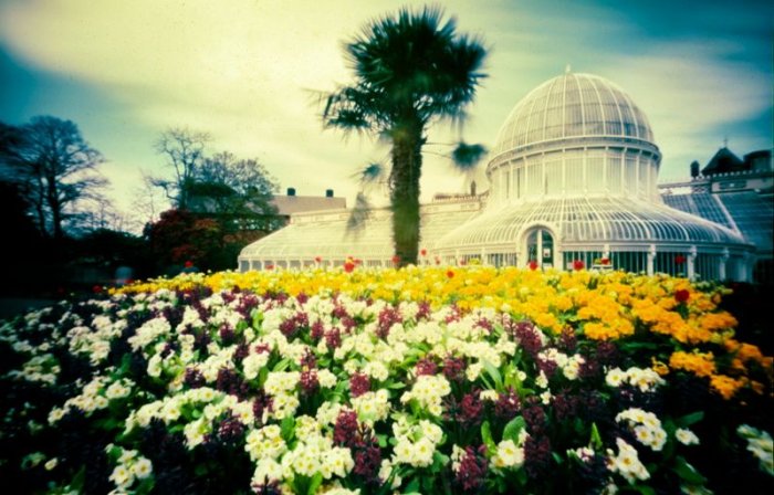 pinhole photograph