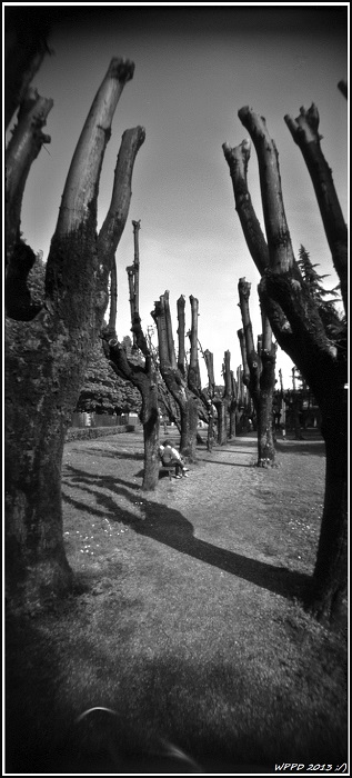 pinhole photograph