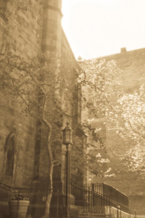 pinhole photograph