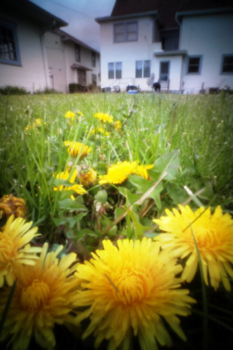 pinhole photograph