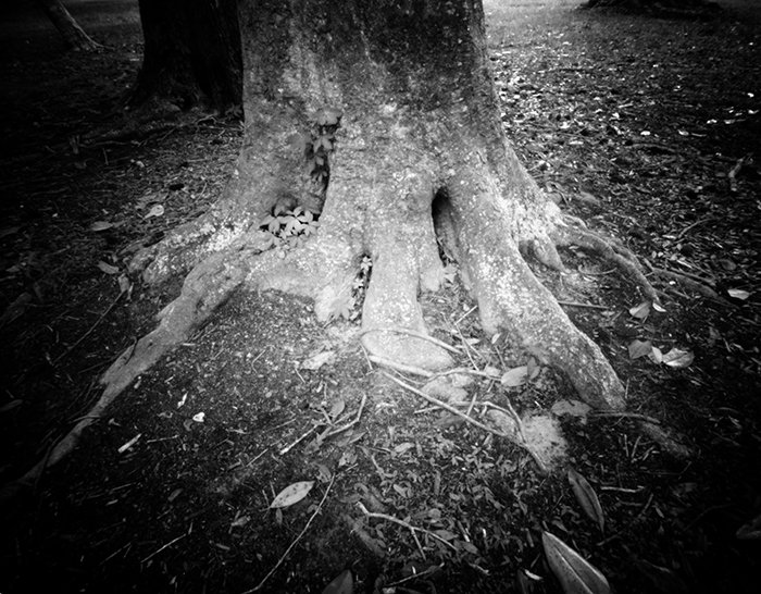 pinhole photograph