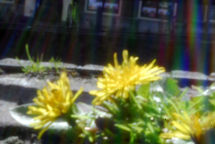 pinhole photograph