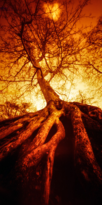 pinhole photograph