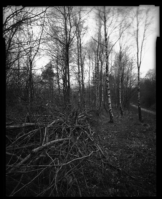 pinhole photograph