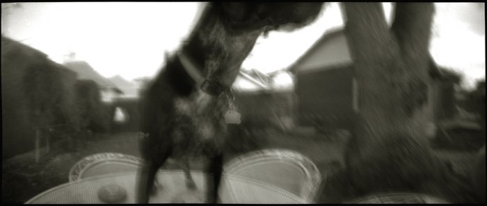 pinhole photograph