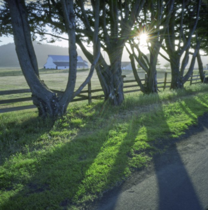 pinhole photograph