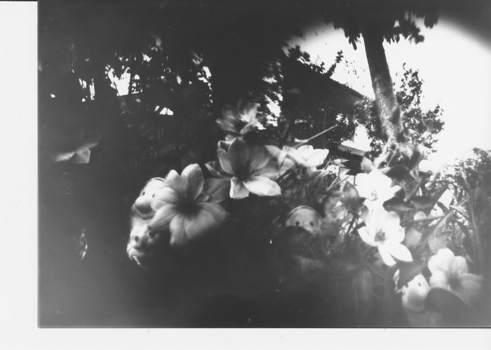 pinhole photograph