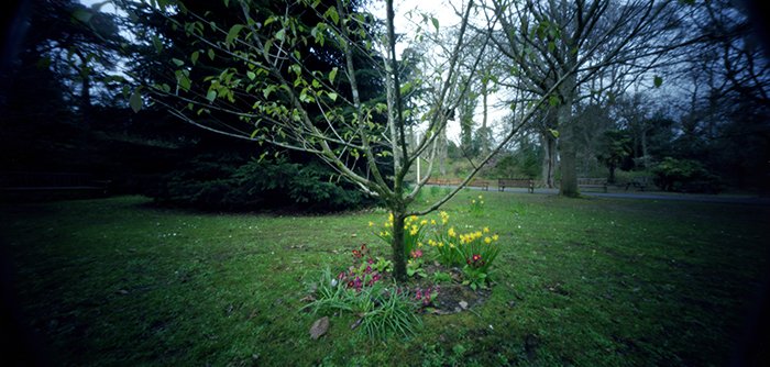 pinhole photograph