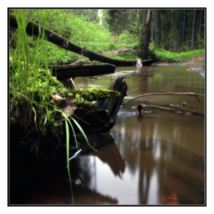 pinhole photograph
