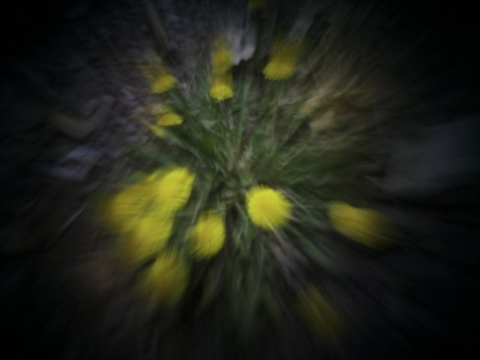 pinhole photograph
