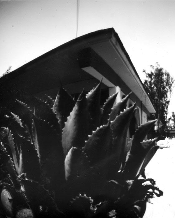 pinhole photograph
