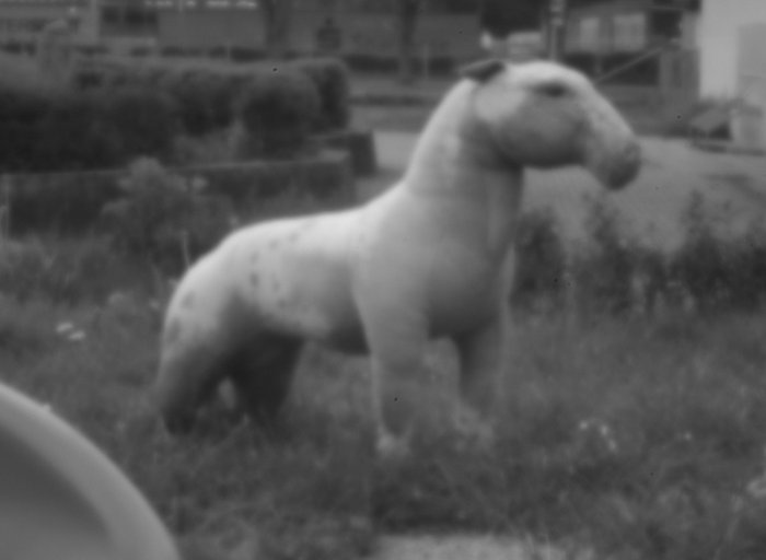 pinhole photograph