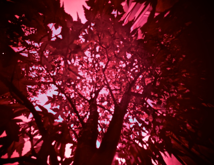 pinhole photograph
