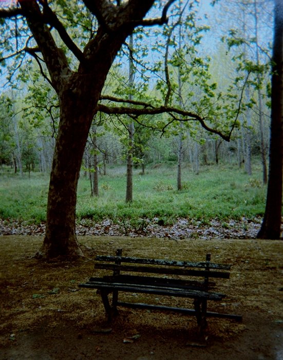 pinhole photograph