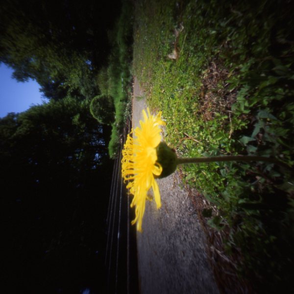 pinhole photograph
