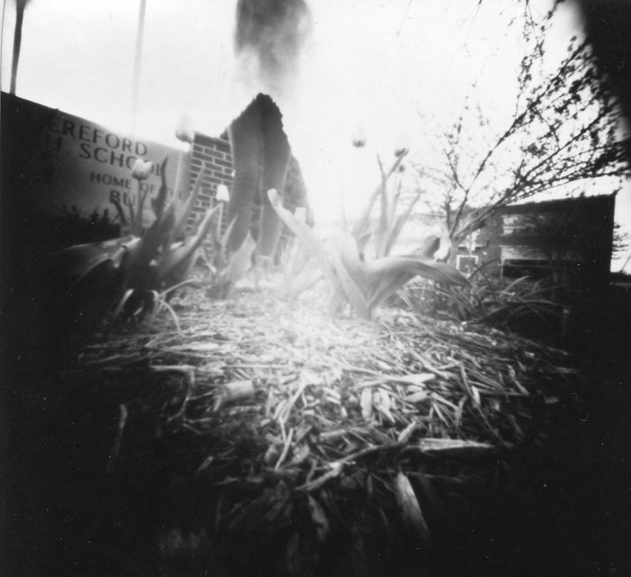 pinhole photograph