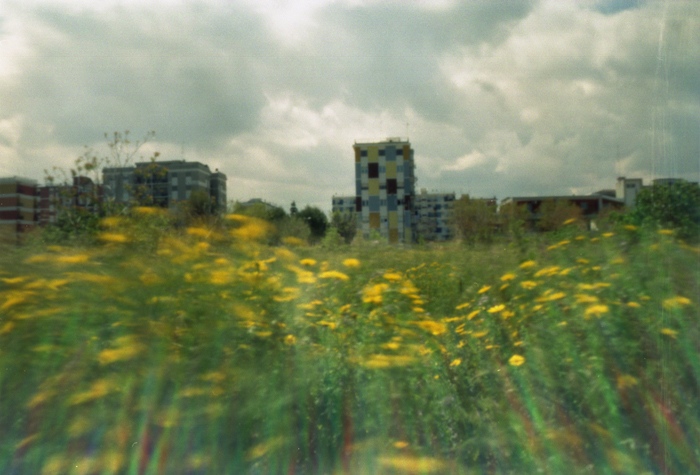 pinhole photograph