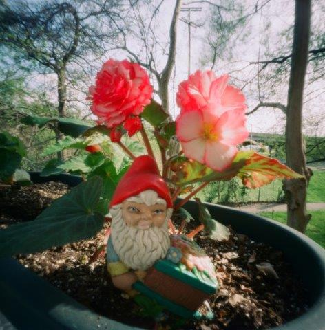 pinhole photograph