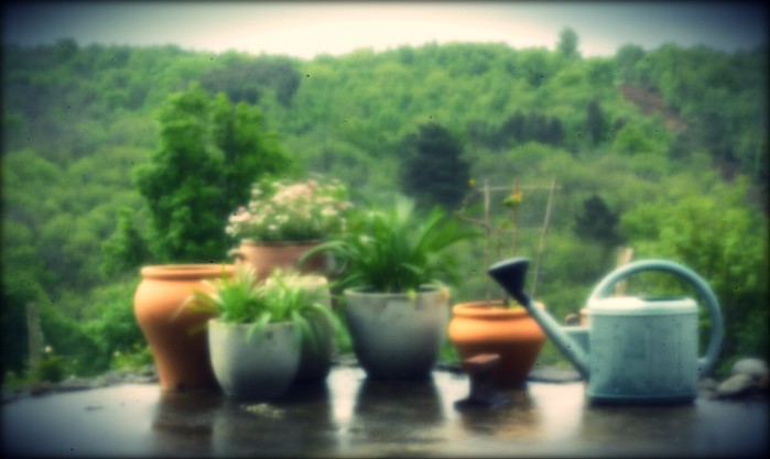 pinhole photograph