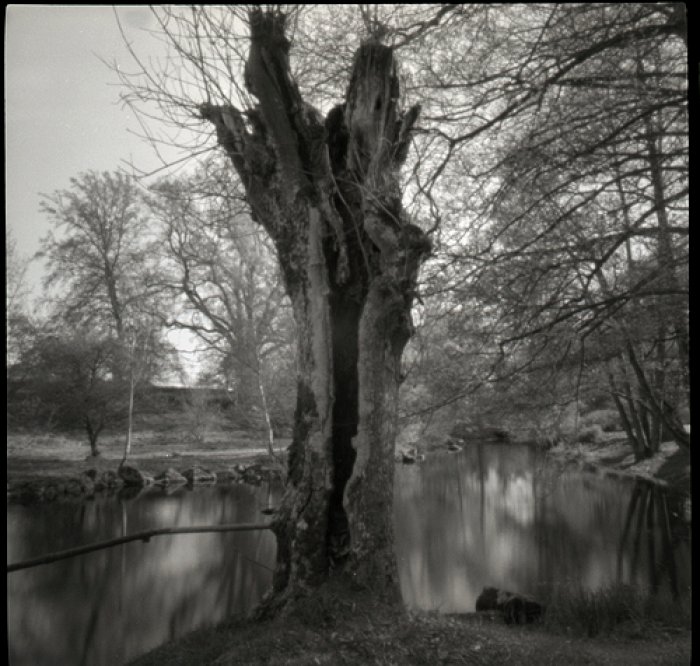pinhole photograph