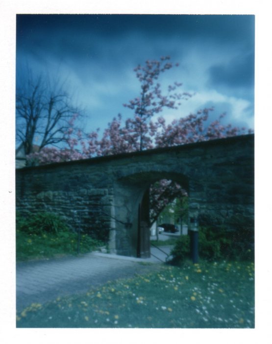 pinhole photograph