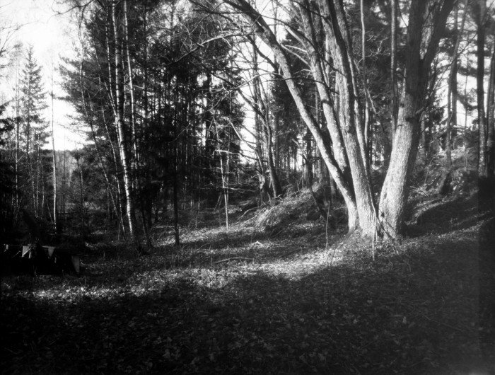 pinhole photograph