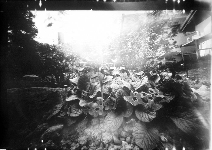 pinhole photograph