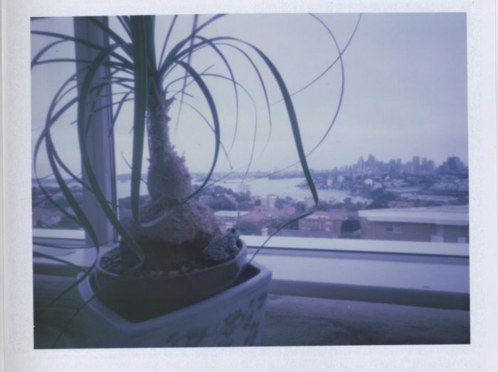 pinhole photograph