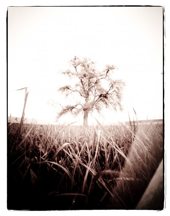 pinhole photograph