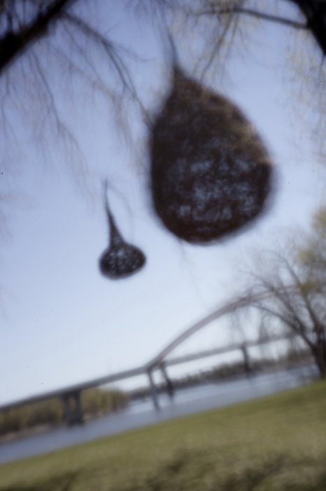 pinhole photograph