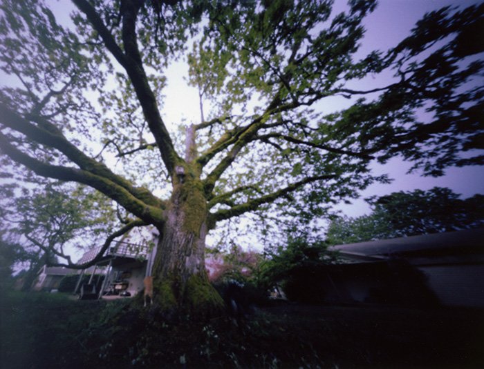 pinhole photograph