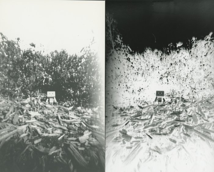 pinhole photograph