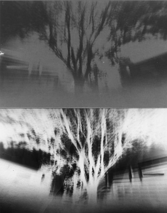 pinhole photograph