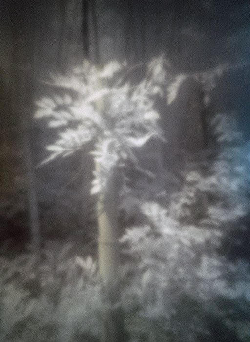 pinhole photograph