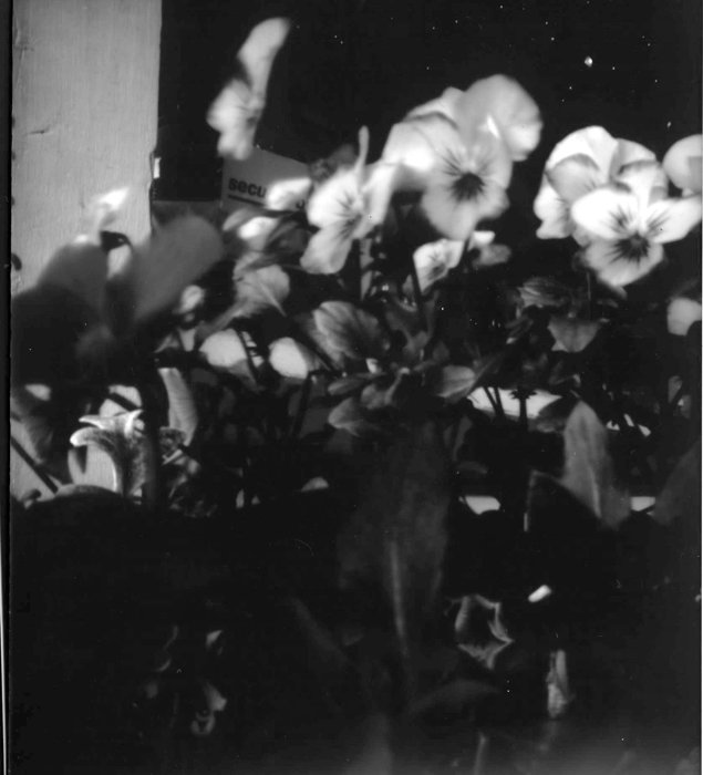 pinhole photograph