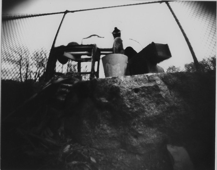 pinhole photograph