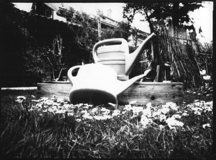 pinhole photograph