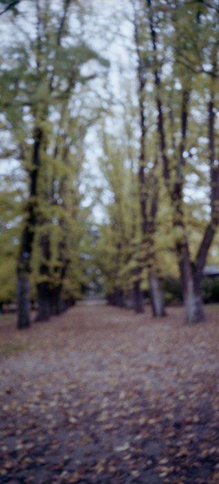 pinhole photograph