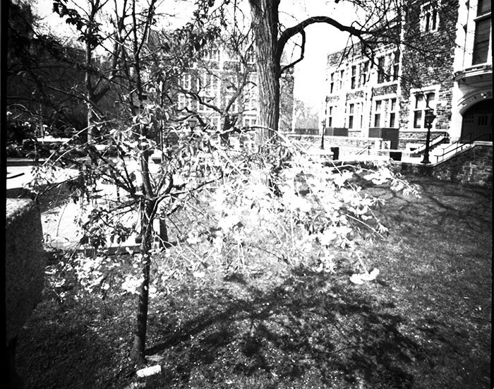 pinhole photograph