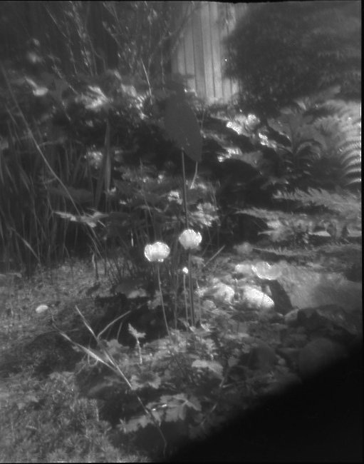 pinhole photograph