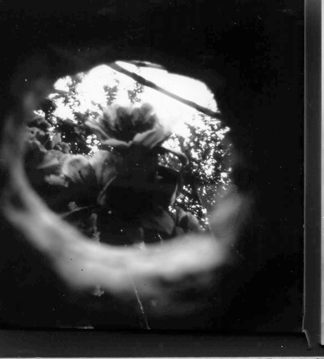 pinhole photograph