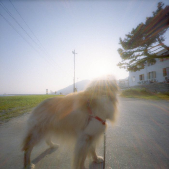 pinhole photograph