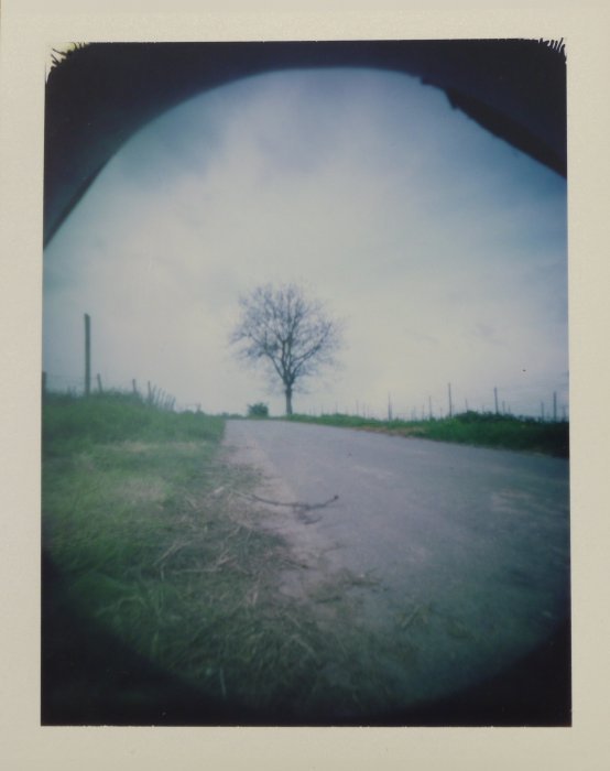 pinhole photograph