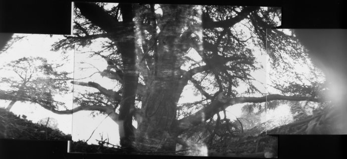 pinhole photograph