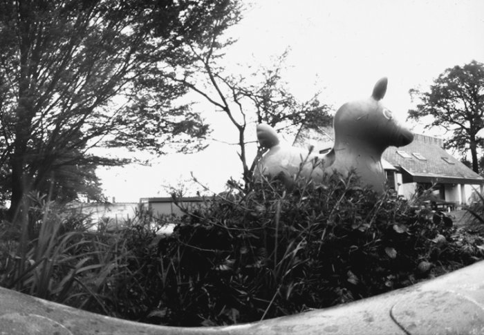 pinhole photograph