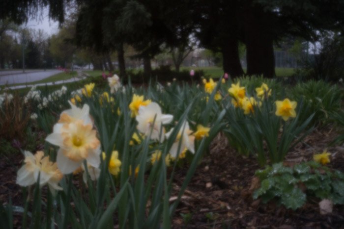 pinhole photograph